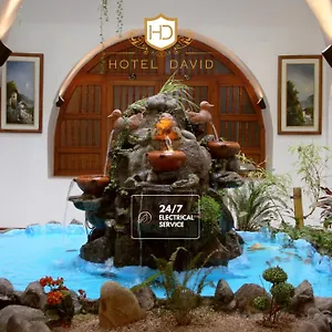 3* מלון David